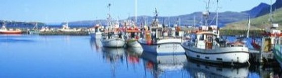 small dayboats bring in fresh catch